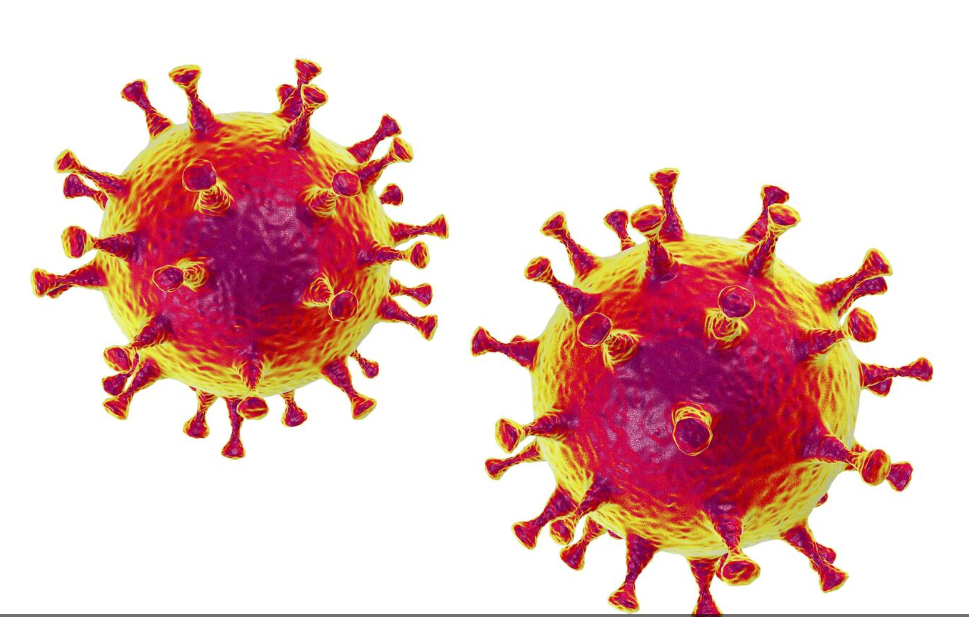 Corona virus origin: where does the pathogen come from and how it is dangerous and transmitted?
